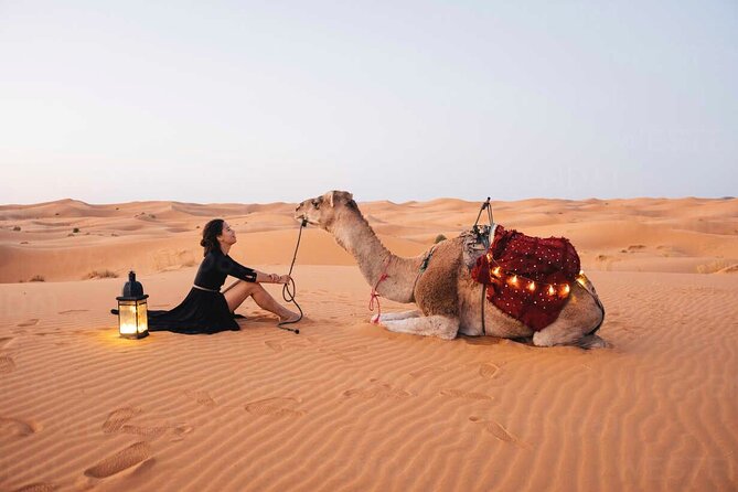 Dubai: Red Dunes Desert Safari, Camel ride, Sandboard, Quad Bike - Key things to know before you go