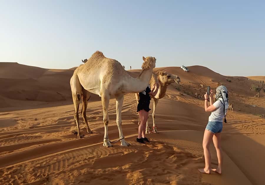 Dubai: Red Dunes Morning Desert Quad, Buggy or 4x4 Ride - Dune Bashing: What Makes It Fun (and How to Stay Comfortable)