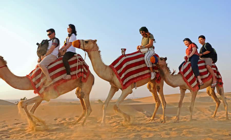 Dubai: Red Dunes Quad Bike with Sandboarding, Camels and BBQ - Dinner at the Camp: Arabian BBQ Buffet Plus Vegetarian Options
