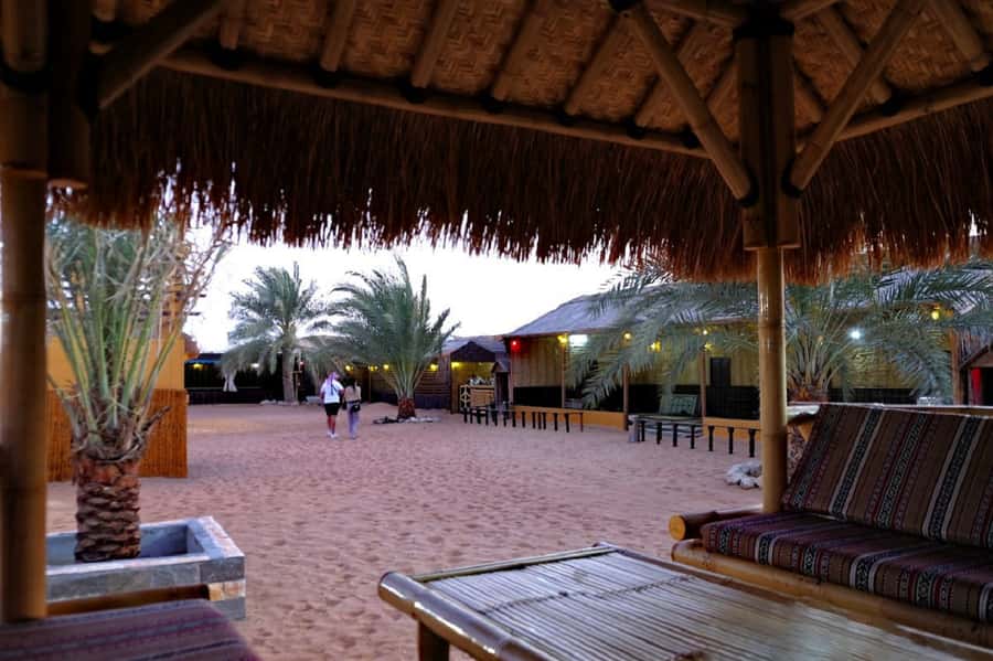 Dubai: Safari, Quad Bike, Camel Ride, and Buffet Dinner - Camel ride plus sunset: the calm interlude