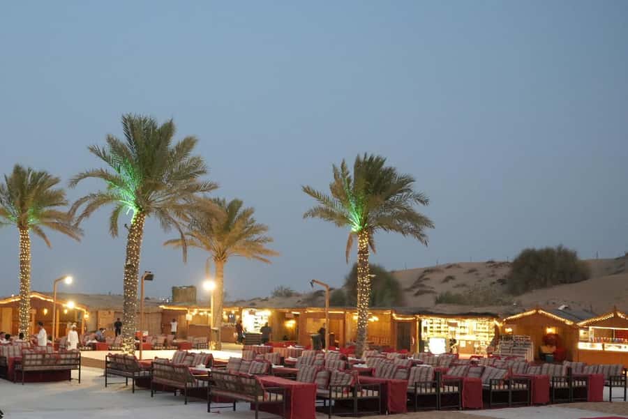 Dubai: Self-Drive Buggy Adventure with Optional BBQ Dinner - The extras that make it feel complete: camel rides, falcons, and photos
