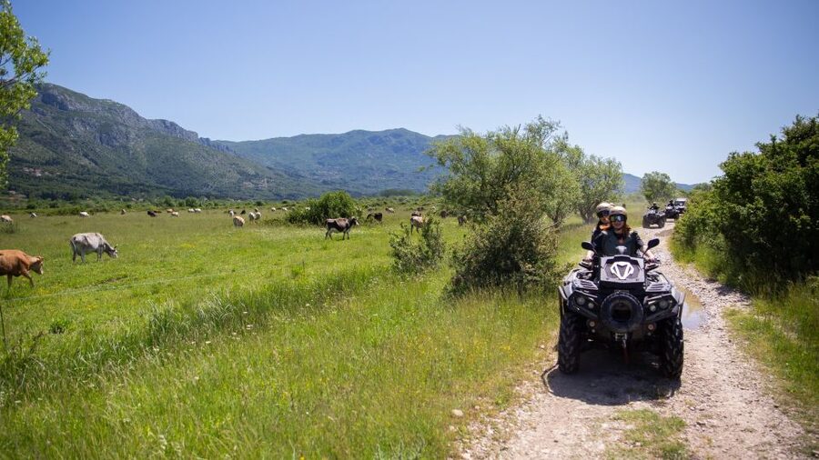 Dubrovnik: Kojan Koral ATV Quad Safari with transport - The wine and refreshment finish: what’s included and why it works