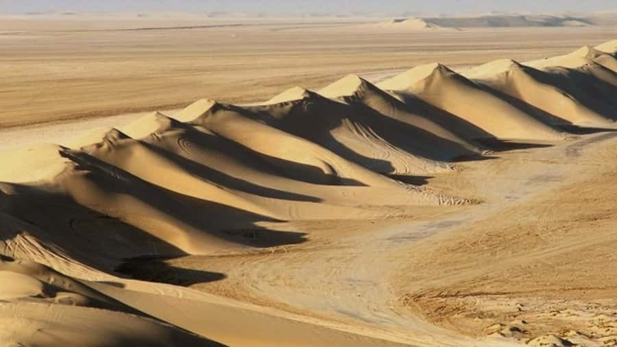 Dune Bashing, Sandboarding, Camel Ride & Optional ATV Ride - Pickup, timing, and how the ride starts (and why it matters)