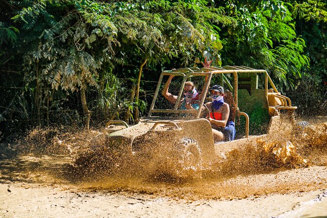 Dune Buggy Adventure at Punta Cana - Coffee, Chocolate, Mamajuana, and Green Tea: The Included Taste Stop