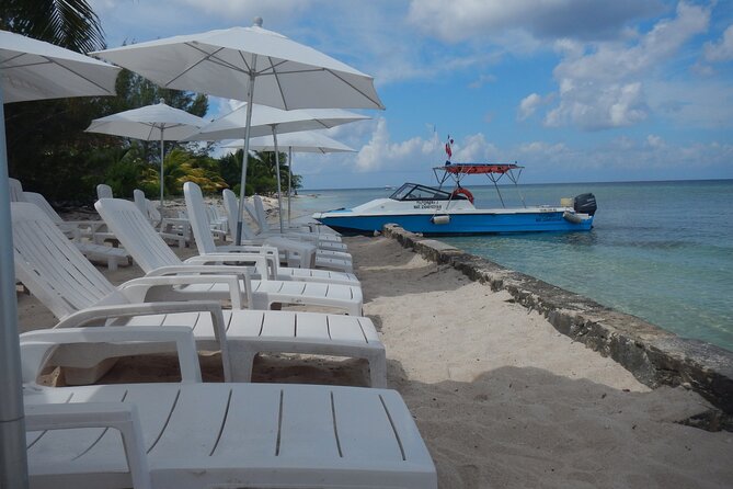 Dune Buggy Adventure in Cozumel with Snorkel and Mexican Lunch - Stop at Dzul-Ha Reef: The Part You Came For