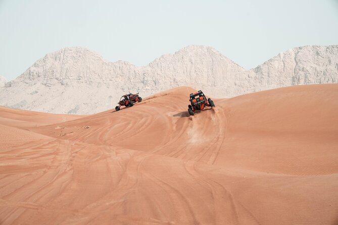 Dune Buggy Experience and Dinner at Mleiha Archaeological Center - Mleiha Archaeological Center dinner: 3 courses under the stars