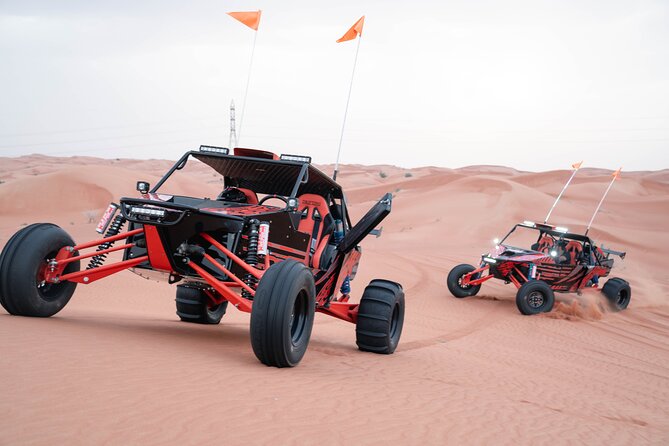 Dune Buggy Experience and Dinner at Mleiha Archaeological Center - 1-hour dune buggy self-drive: safety gear and real dune time