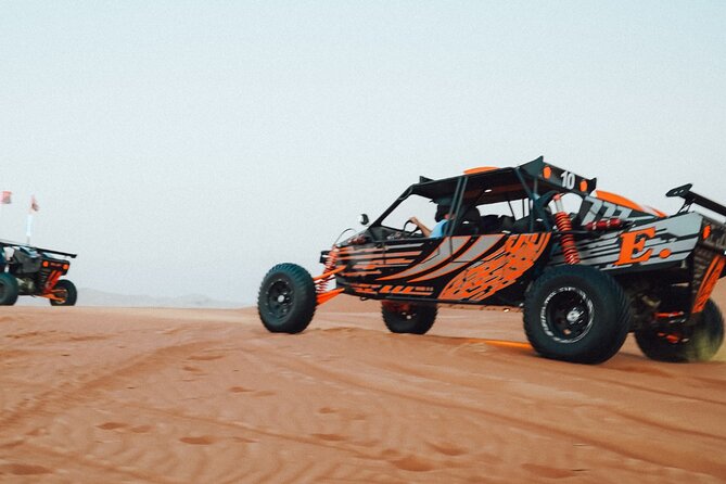 Dune Buggy Experience & Fossil Discovery in Mleiha National Park - Price and logistics: what you really get for $327