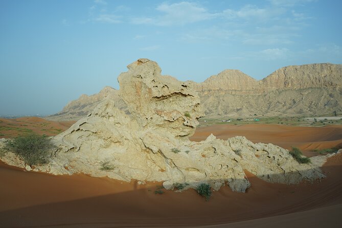 Dune Buggy & Private Dinner in the Dunes in Mleiha National Park - Guides make the difference: names you might hear