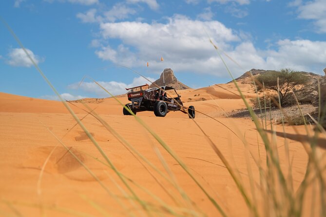 Dune Buggy & Private Dinner in the Dunes in Mleiha National Park - Logistics that actually affect your comfort