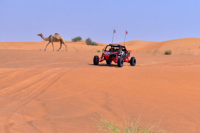 Dune Buggy Ride with Private BBQ Dinner in the Desert - One Hour Dune Buggy Ride (and What Comes with It)