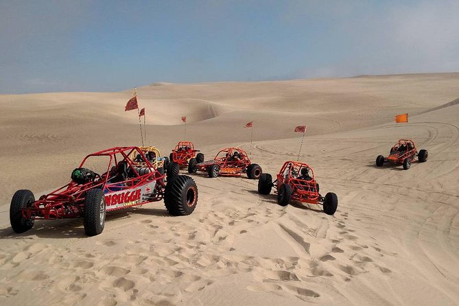Dune Buggy, UTV or ATV Experience at Pismo Beach - Why Oceano Dunes feels like a mini off-road world near Pismo Beach