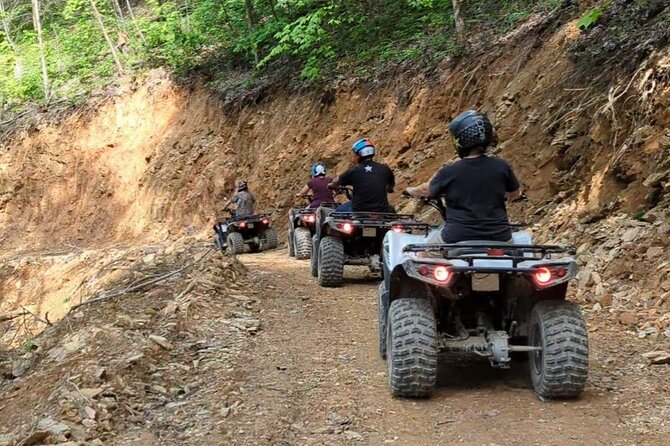 East Tennessee Off Road ATV Guided Experience - Climb to the Highest Bluff View: The “Okay, This Is Why We Came” Stop