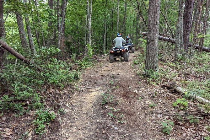 East Tennessee Off Road ATV Guided Experience - Group Size of 10: Less Waiting, More Riding Time With a Real Pace