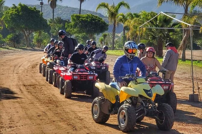 Enesenda Shore Excursion ATV Adventure with Tacos & wine tasting - Key Highlights You’ll Care About