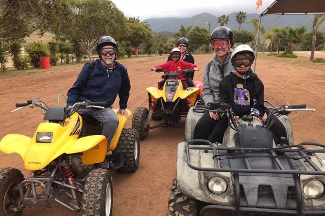 Enesenda Shore Excursion ATV Adventure with Tacos & wine tasting - Price and What You Actually Get for $55