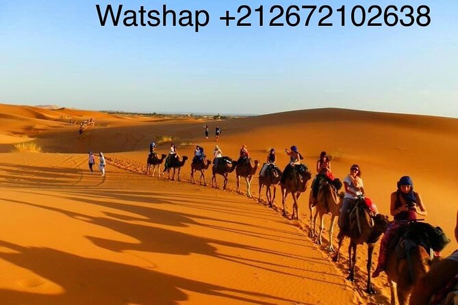 Enjoy camp 1 night .Camel.sunset sunrise drums Quad Sunboard - Quad/ATV Fun: Extra Adrenaline in the Dunes