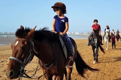 Essaouira Activities: Discover Essaouira by Quad - Horseback vs. camel: picking the right ride for your comfort level