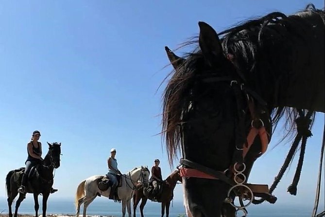 Essaouira Activities: Discover Essaouira by Quad - Pickup, transport, and how to avoid a day-killer