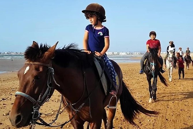 Essaouira Activities: Discover Essaouira by Quad - Horseback vs. camel: picking the right ride for your comfort level