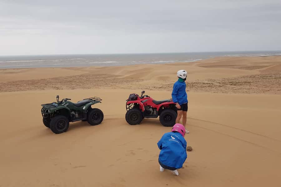 Essaouira P3: Quad tour forest beach dunes (free transfer) - Why quad biking in the Essaouira region feels like the right kind of adventure