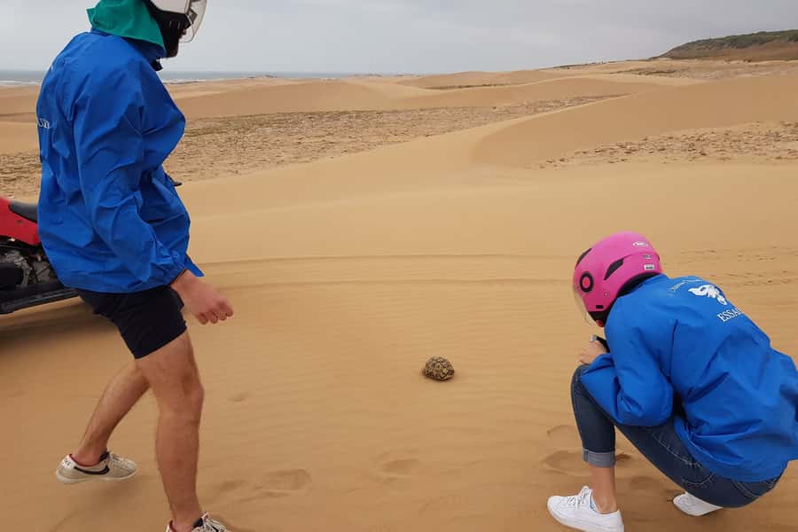 Essaouira P3: Quad tour forest beach dunes (free transfer) - The route: dunes, pine forest, and photo stops near Dar Sultan Palace and Bourj El Baroud