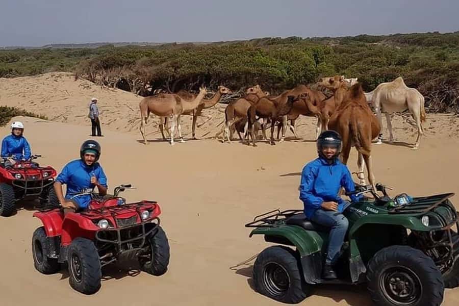 Essaouira P3: Quad tour forest beach dunes (free transfer) - Gear and comfort: what to wear so the ride stays enjoyable