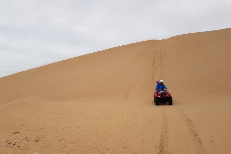 Essaouira P3: Quad tour forest beach dunes (free transfer) - Practical notes for a smooth start