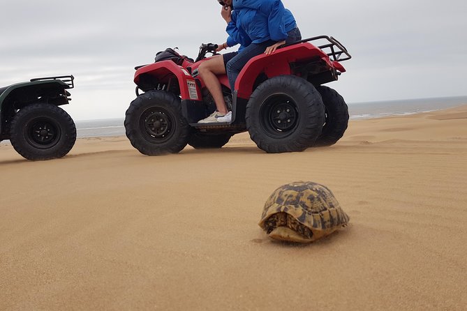 Essaouira: Pleasant Quad tour (free transfer) - Key highlights to know before you go