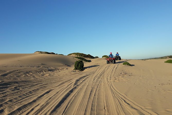 Essaouira: Pleasant Quad tour (free transfer) - Fishing village chat and sea urchins: the human side of the route