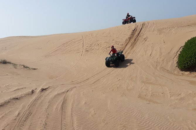 Essaouira: Pleasant Quad tour (free transfer) - Forest tracks: why the scenery shift is more than a photo stop