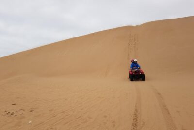 Essaouira: Quad ride / family & friends (free transfer) - The Route Feel: Dunes, Beach Track, and Argan-Tree Country