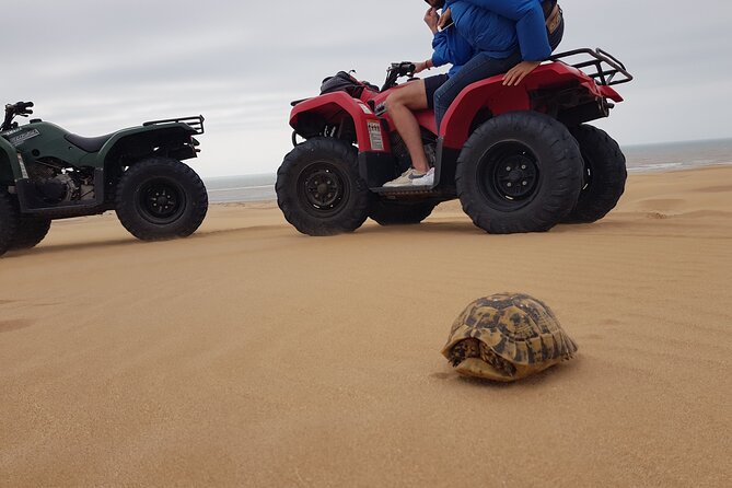 Essaouira: Quad ride / family & friends (free transfer) - Sidi Kaouki Fishing Village: The Day’s Most Grounded Sense of Place