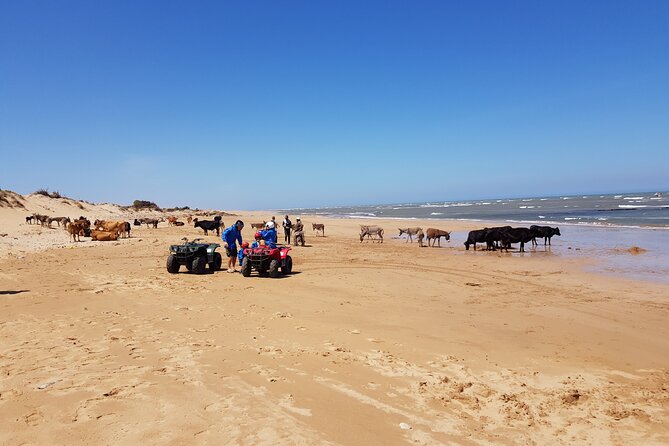 Essaouira: Quad ride / family & friends (free transfer) - Lunch and Water: Fuel for Riders, Not Just a Schedule Item