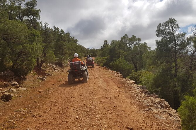Essaouira: Quad ride / family & friends (free transfer) - Price and Value: Is $38.38 Fair for a Guided Quad Ride?