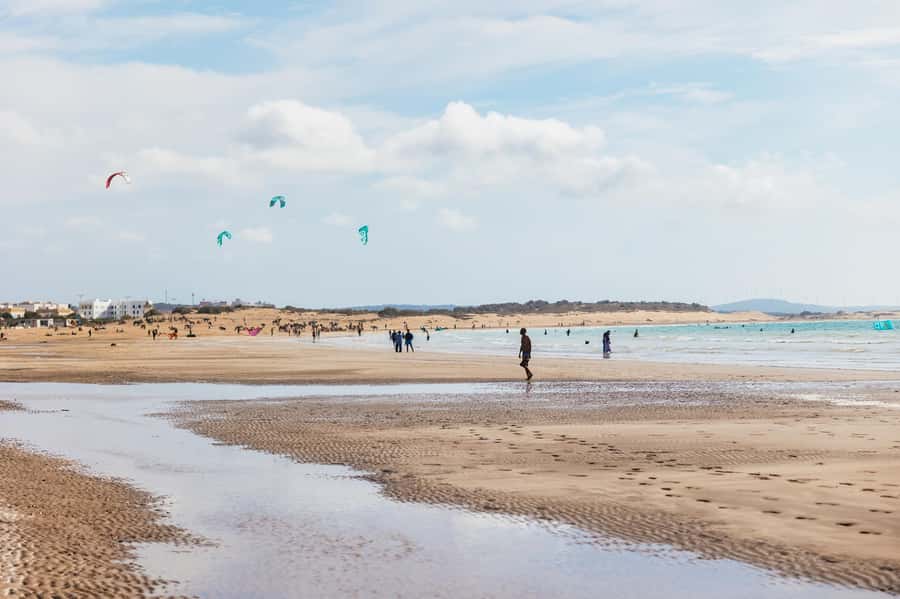 Essaouira Sand Dunes: Half Day Quad Bike Tour - Who should book the Essaouira sand dunes quad tour (and who shouldn’t)