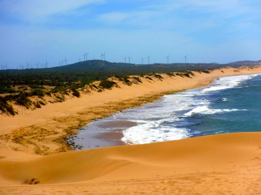 Essaouria: Beach & Big Dunes 2-Hour Quad Biking Tour - From Oued Ksob to Sultan’s Palace Ruins: How the Route Builds