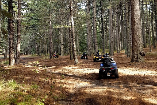 Etna quad tour - half day - Price and Value: Is $245.30 per Group Worth It?
