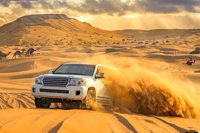 Evening Desert Adventure: Quad Biking, Sandboarding & Camel Ride - Camel ride plus dune bashing: fast meets slow (and your body knows it)