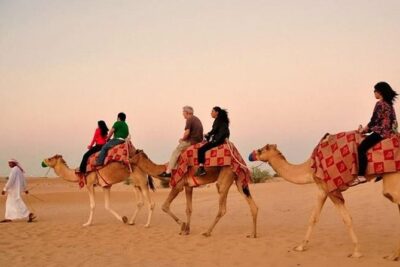 Evening Desert Adventure: Quad Biking, Sandboarding & Camel Ride - Quad biking on red dunes: the part you’ll talk about later