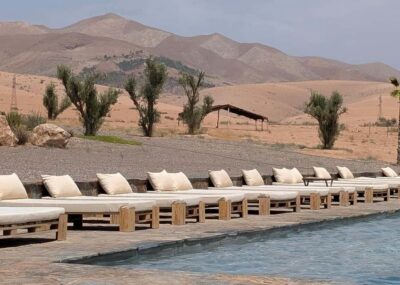 Evening Marrakech: Agafay Desert Quad , Camel & Dinner Shows - Argan Oil Cooperative Stop: Tea Tasting and Why It Matters