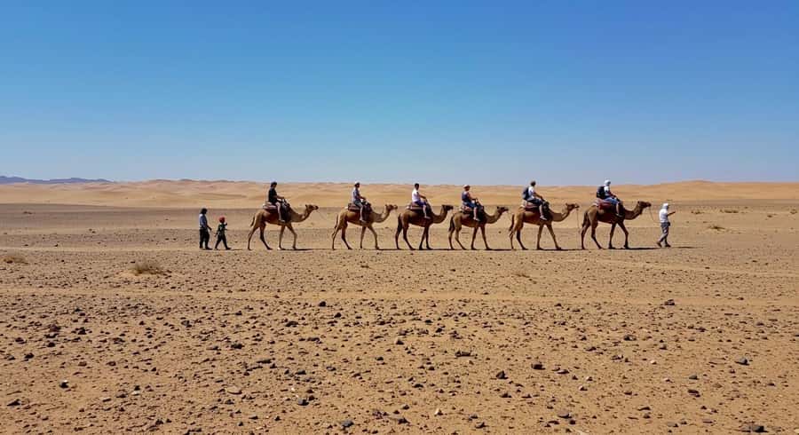 Evening Marrakech: Agafay Desert Quad , Camel & Dinner Shows - Who This Agafay Quad, Camel, and Dinner Show Suits Best