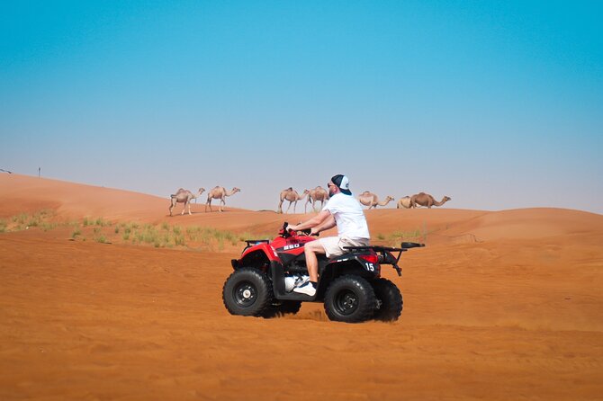 Evening Quad Bike, Desert Safari in Dubai , BBQ Dinner and Shows - Key highlights to know before you go