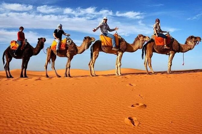 Excursions Quad Riding in Merzouga - Quad Bikes In Merzouga: Value, Time, and What Actually Happens