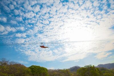 Extreme Adventure, Wildest Bridge, ATV & Ziplines - Treetop platforms: rappelling and wobbling walkways (where your legs learn patience)