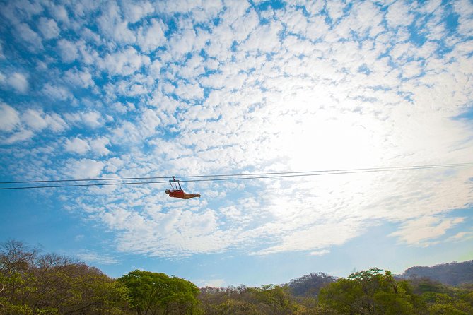 Extreme Adventure, Wildest Bridge, ATV & Ziplines - Treetop platforms: rappelling and wobbling walkways (where your legs learn patience)