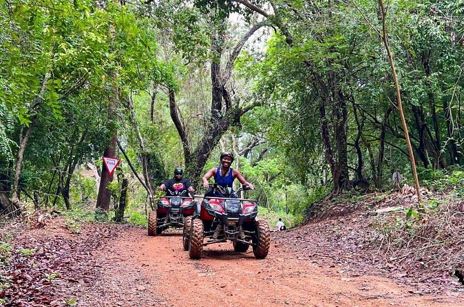 Extreme Jungle, water Cave, and Beach Buggy-Atv Punta Cana - Coffee, cacao, chocolate, and cigars: the included tasting plan