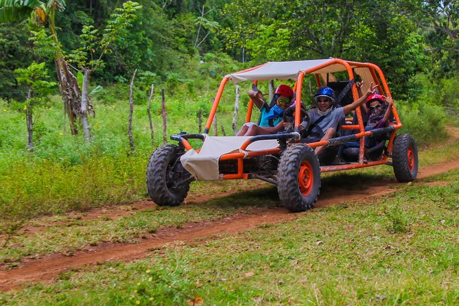 Family Buggy Adventure in Punta Cana - Off-road trail time: animals, farms, and getting dusty (or muddy)