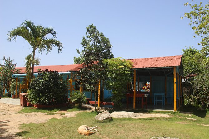 Family Buggy Adventure in Punta Cana - Coffee and cacao at a Dominican home: why this stop matters