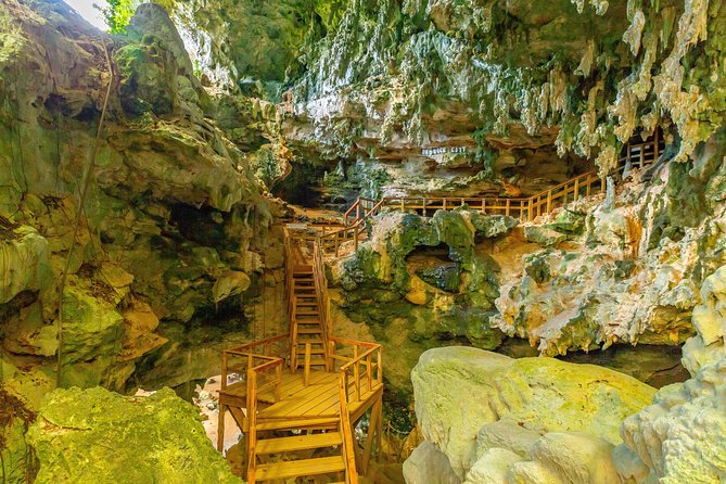 Family Buggy Adventure in Punta Cana - Who this buggy adventure is best for